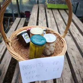 L’Économie Sociale et Solidaire